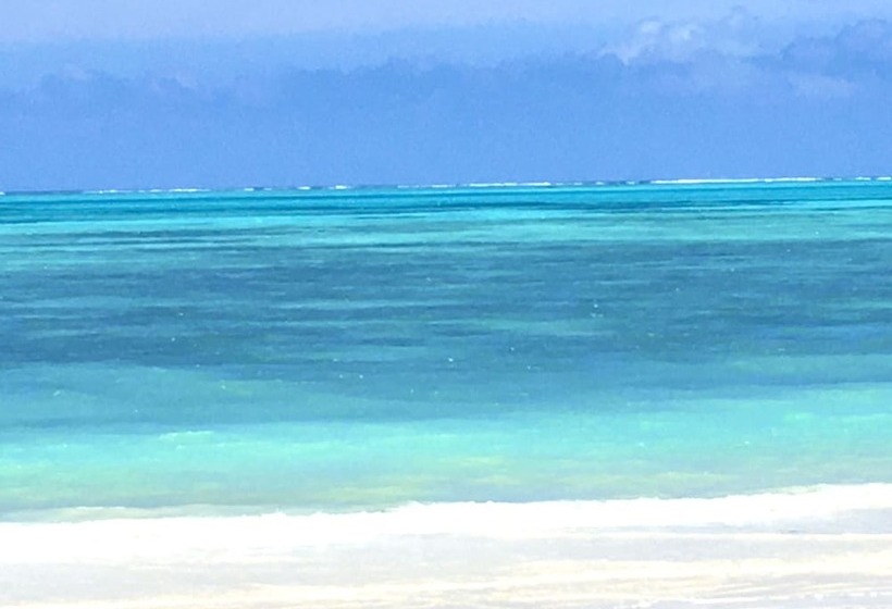 فندق Driftwood Beach Lodge