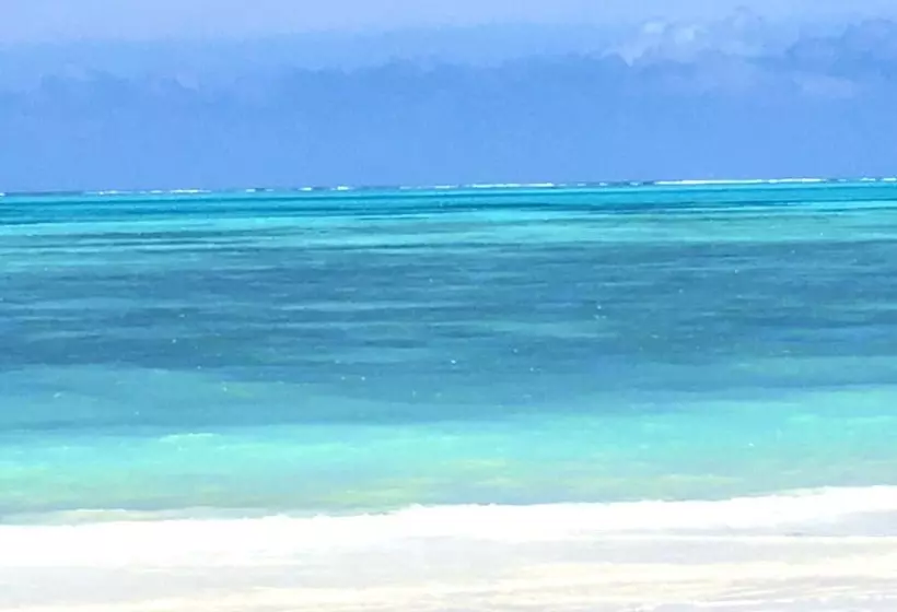 Hotelli Driftwood Beach Lodge