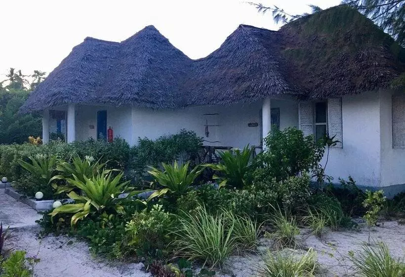 Hotelli Driftwood Beach Lodge