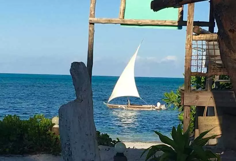 Hotelli Driftwood Beach Lodge