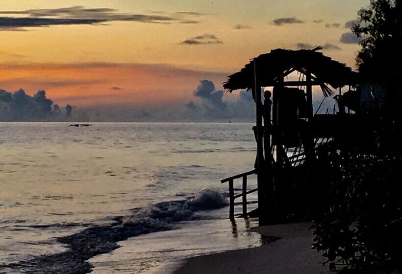 فندق Driftwood Beach Lodge