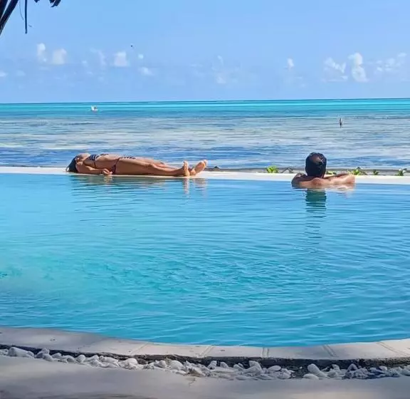 Hotelli Driftwood Beach Lodge