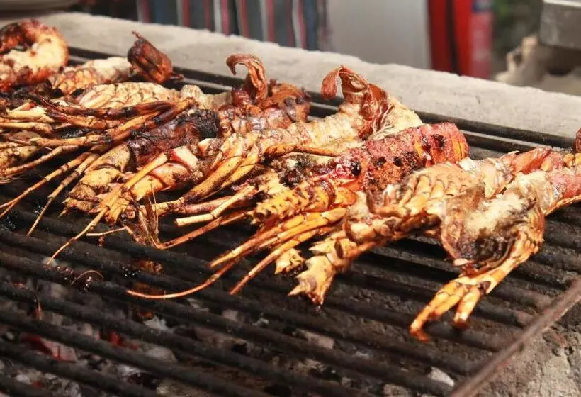 Hotelli Driftwood Beach Lodge