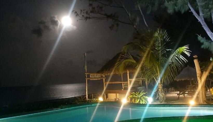 فندق Driftwood Beach Lodge