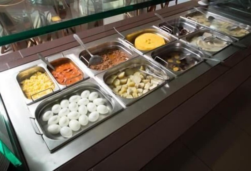 酒店 Salgueiro Plaza