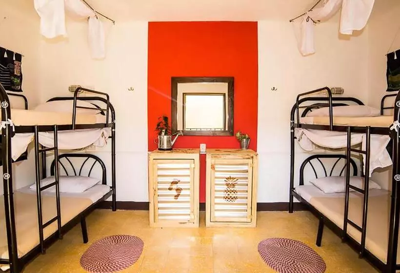 The Purpose Hostel