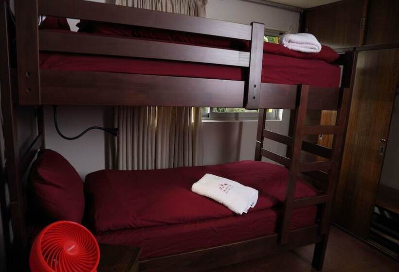 هاستل Casa Suiza