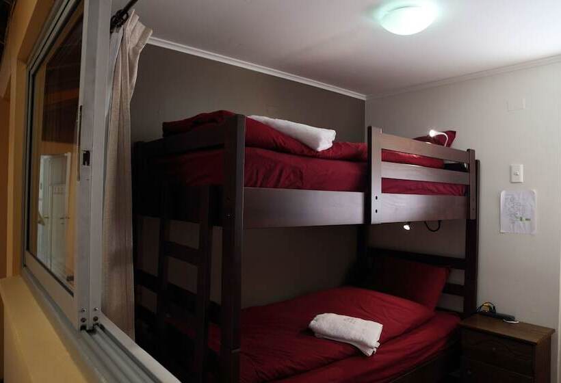 هاستل Casa Suiza