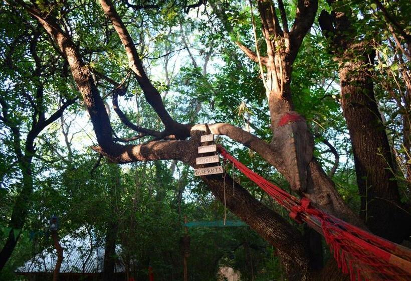 Hostel Eco Cultural Giramundo