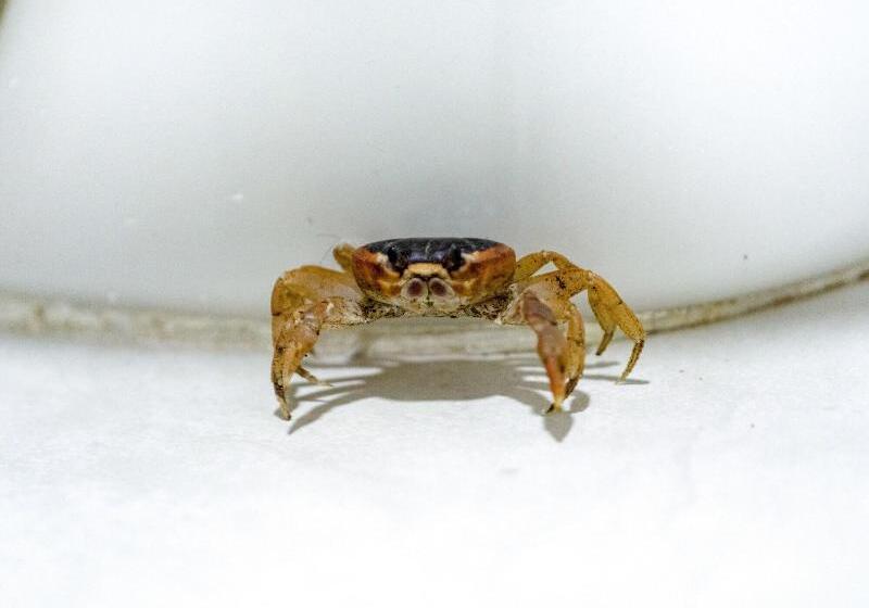 هتل Solare Sai Eco