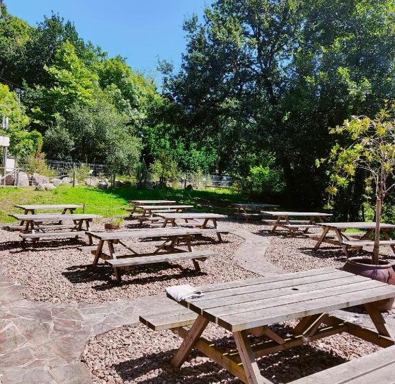 Albergue Los Nuberos   Hostel