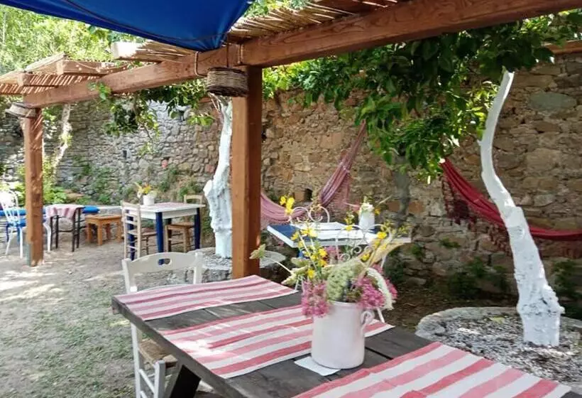 Aamiaismajoitus (B&B) Cilento Coast, Palazzo Pisani Pollica  Salerno Campania Italy
