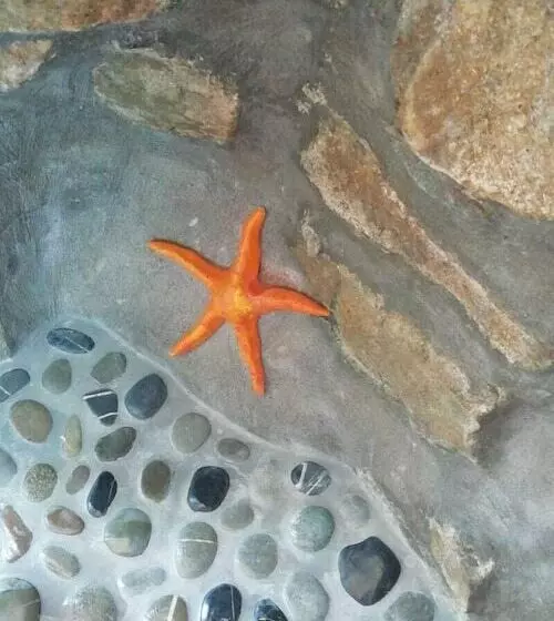 Aamiaismajoitus (B&B) Cilento Coast, Palazzo Pisani Pollica  Salerno Campania Italy