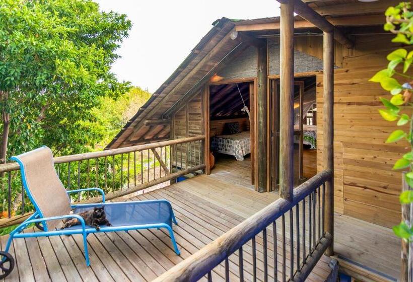 住宿加早餐 Playa Manglares Isla Baru