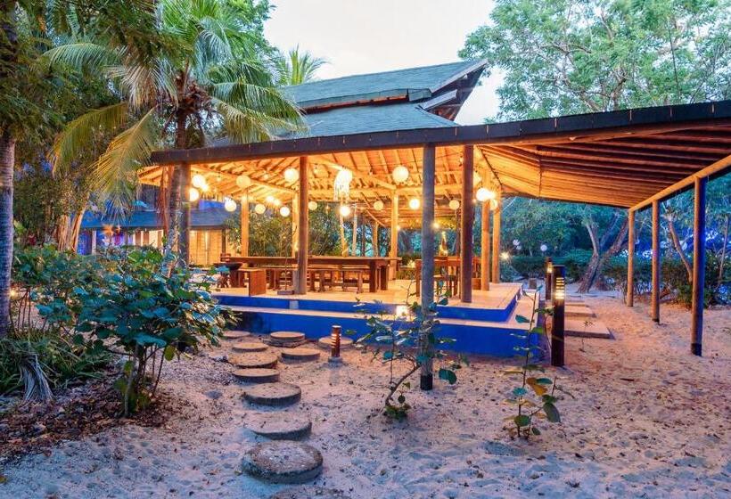 住宿加早餐 Playa Manglares Isla Baru