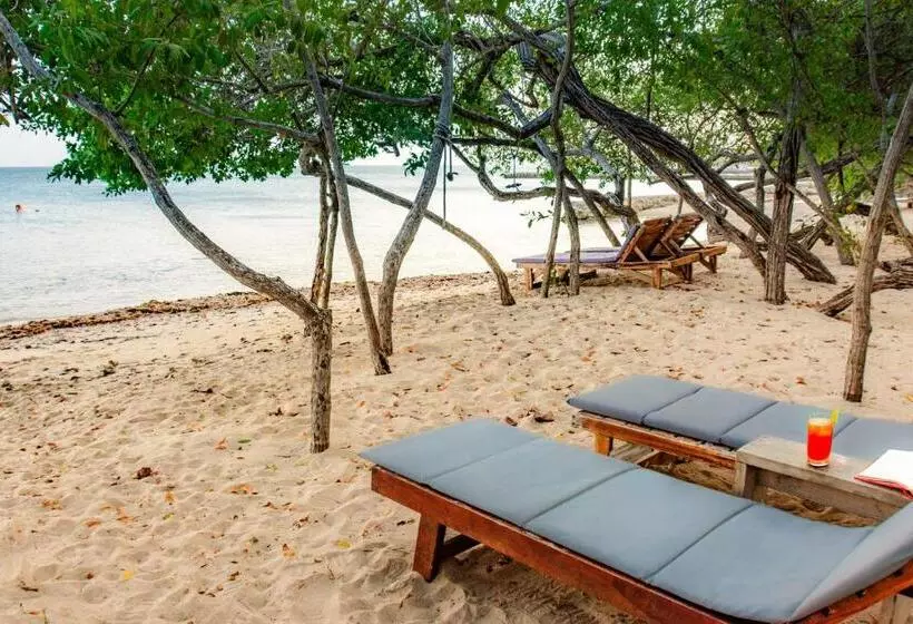 ベッドアンドブレックファースト Playa Manglares Isla Baru