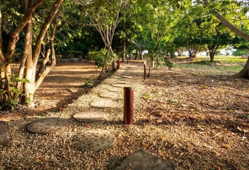 ベッドアンドブレックファースト Playa Manglares Isla Baru