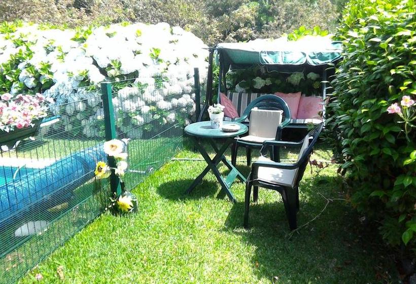 Casa De Trajinha B&b