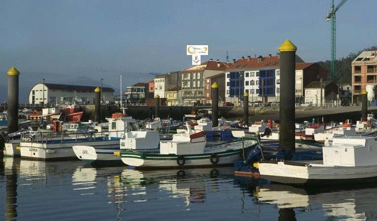 בית מלון כפרי As Brisas Do Freixo