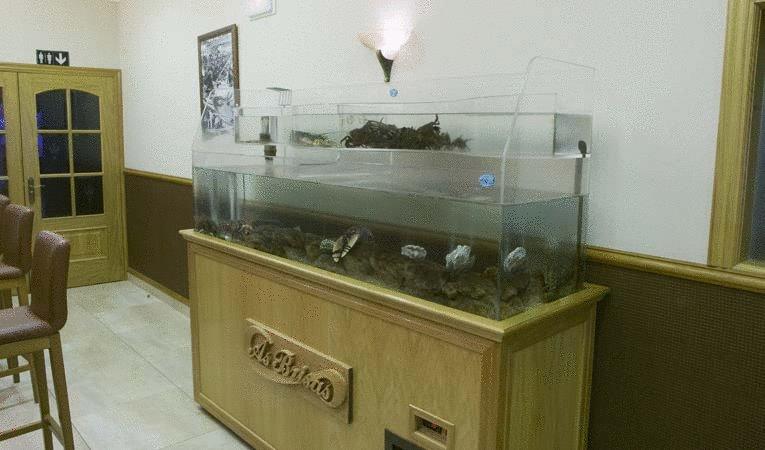 בית מלון כפרי As Brisas Do Freixo