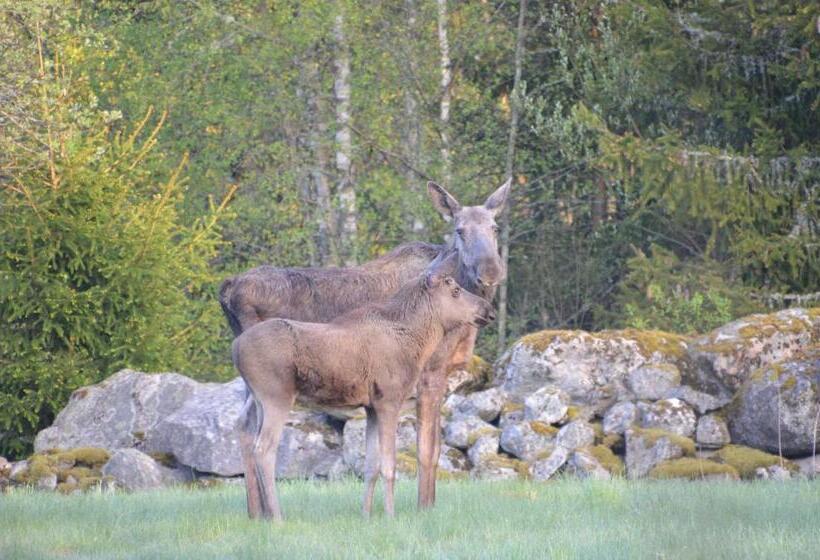 Södra Ljunga Vandrarhem