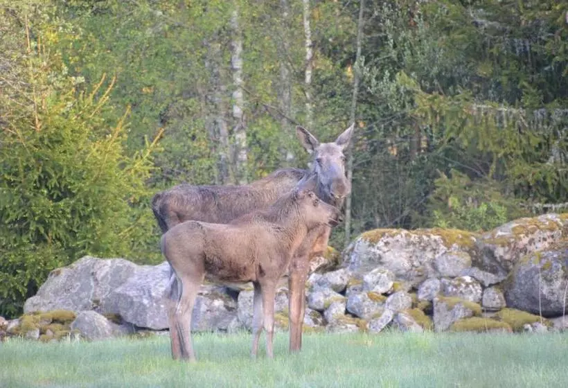 Södra Ljunga Vandrarhem