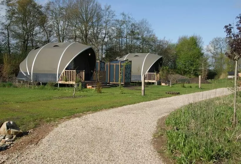 Hotelli Romantic Tent Lodge In Dalerveen With Sauna