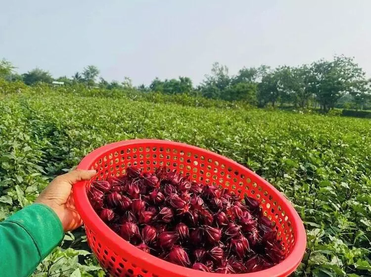 هتل روستایی Thanh Chiem Village