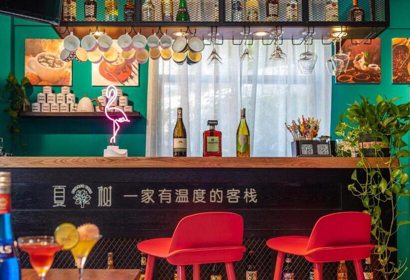 Hostel Summer Tree Inn