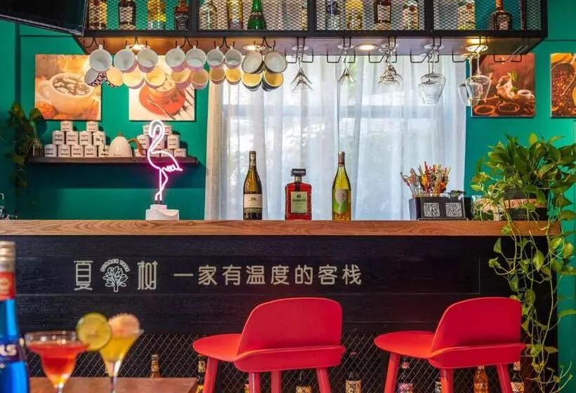 ユースホステル Summer Tree Inn