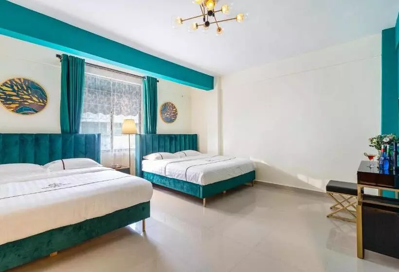 ユースホステル Summer Tree Inn