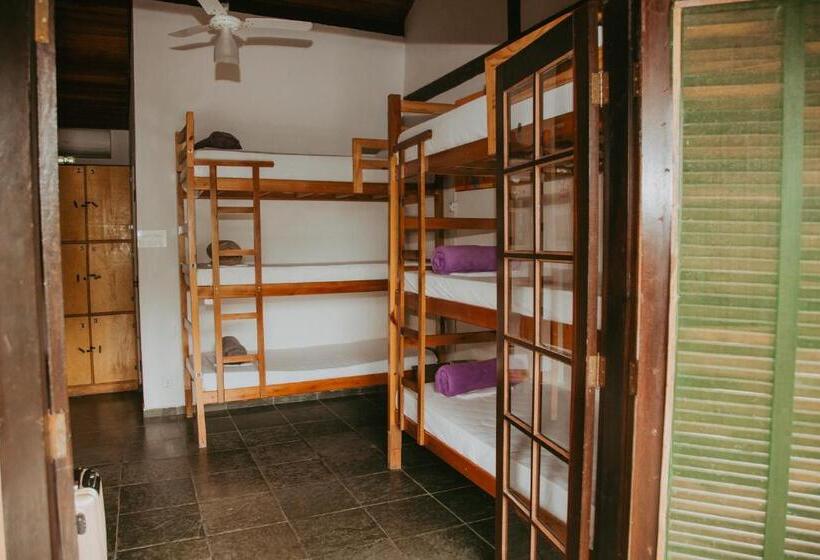 Drifter Hostel