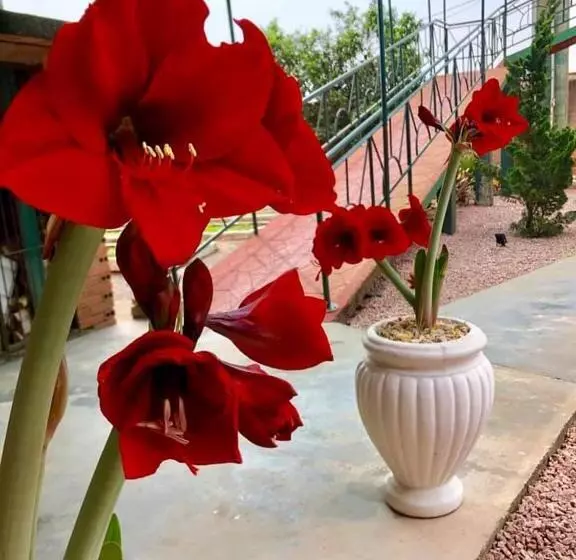 Hotelli Blumenpark