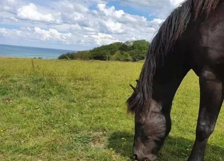 Hotelli Hôtel De La Terrasse
