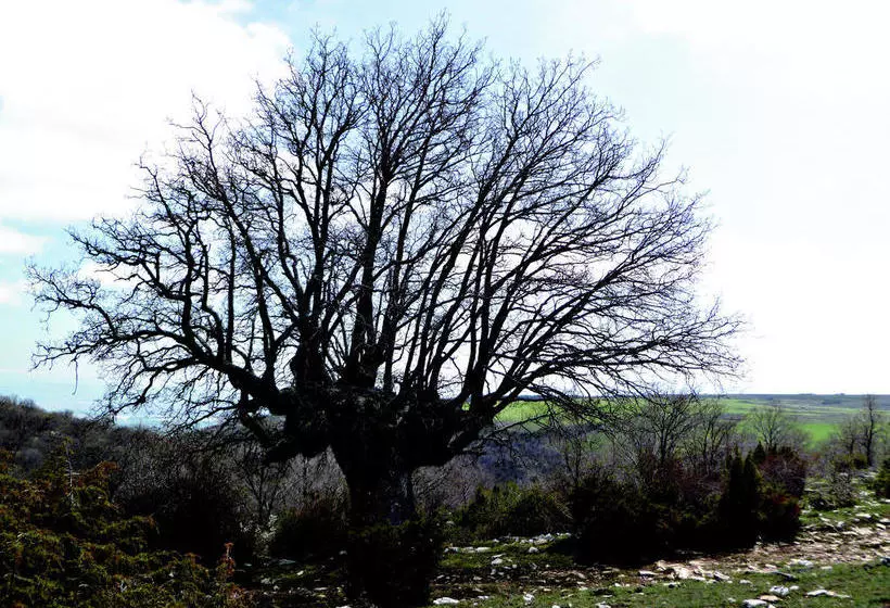 هتل روستایی Rural Teodosio De Goñi