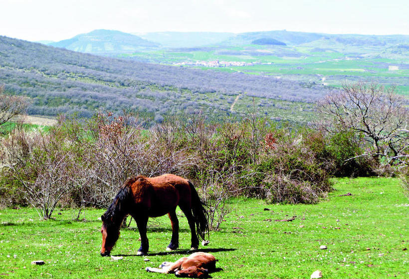 Hotel Rural Rural Teodosio De Goñi