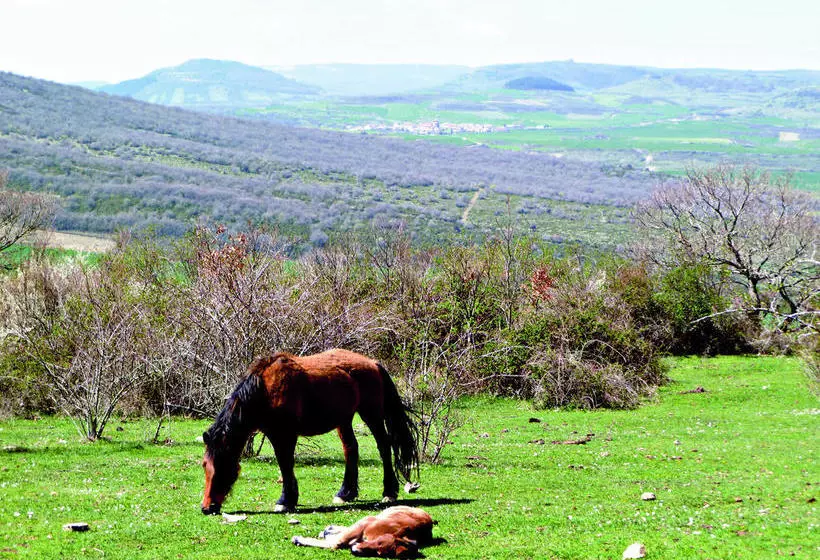 هتل روستایی Rural Teodosio De Goñi