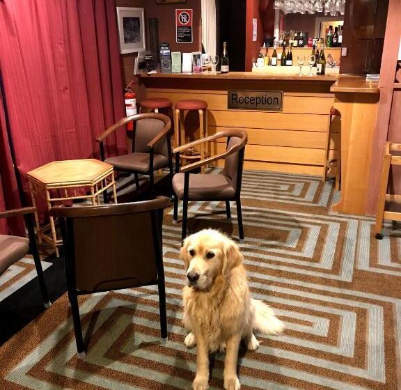 모텔 Cottonwood Lodge