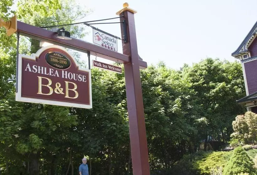 Ashlea House B&b
