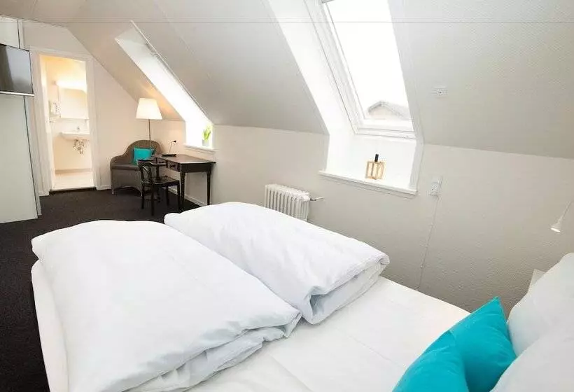 ホテル Benniksgaard Anneks