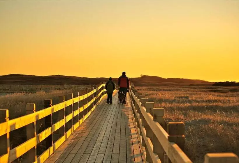 Hotelli Port Aux Basques