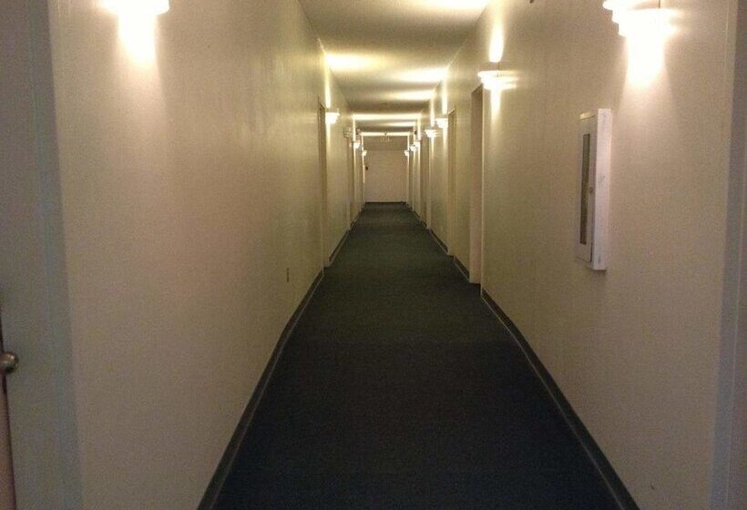 酒店 Royal Star Motor Inn