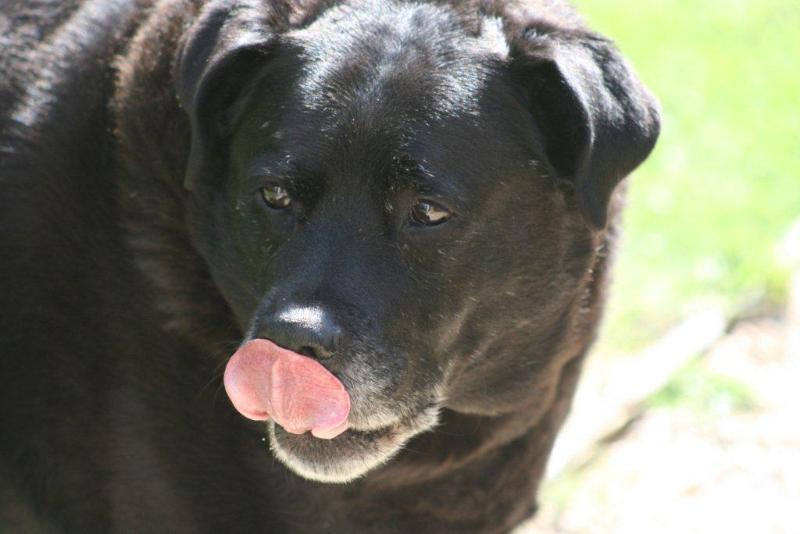 Hotel The Colonial On Arundel