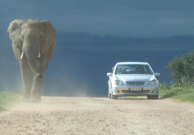 Hotel The Colonial On Arundel