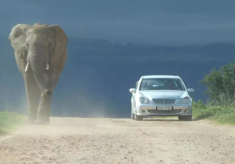 Hotelli The Colonial On Arundel