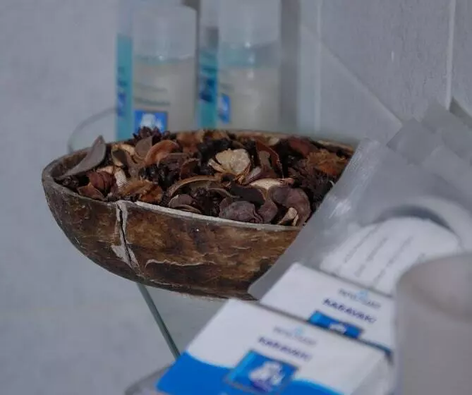 Hotelli Villa Fleria