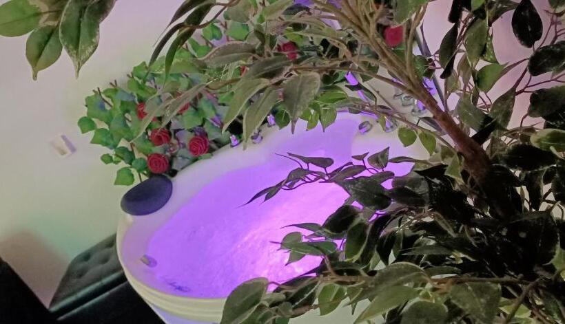 Szálloda Youri Il Magnifico