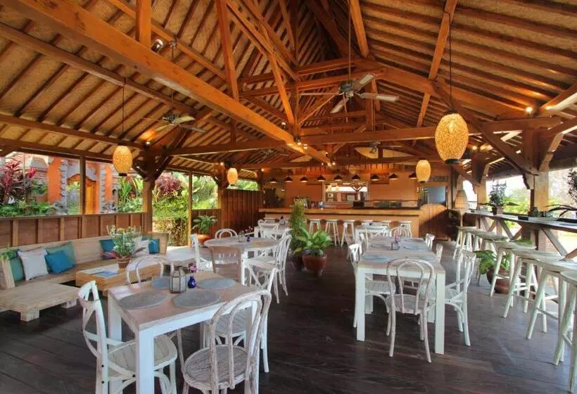 Yoga Searcher Bali