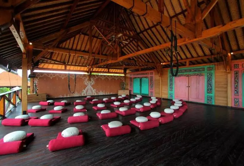 Yoga Searcher Bali