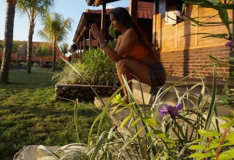 Yoga Searcher Bali